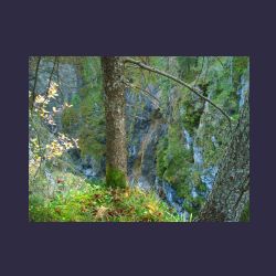 2012-10-20_Fall_AQUILA (346)b.JPG